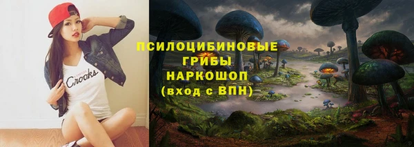 а пвп мука Алзамай