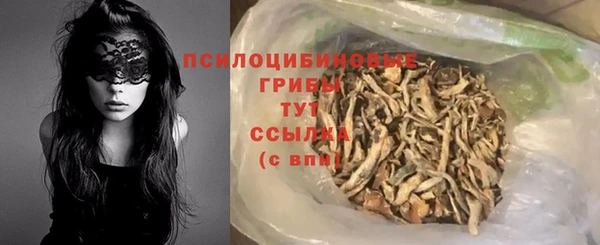 стафф Алексин