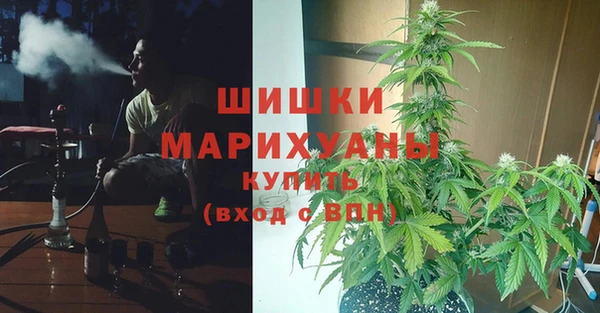 2c-b Сатка