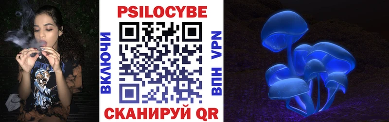 как найти   Каменка  Галлюциногенные грибы Cubensis 