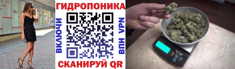 Бошки марихуана Bruce Banner  Каменка 